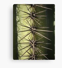 Spike Canvas Print