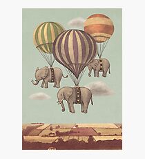 Flight of the Elephants Photographic Print