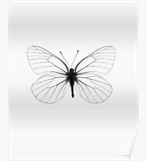 Butterfly print, Insekt print, skandinavischen print, Skandinavisch, Trendy print, Stil, skandinavische Kunst, moderne Kunst, Wandkunst, Print, minimalistisch, Modern Poster