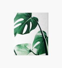 Monstera leaves,Tropical leaves, Green leaves, Leaf, Modern art, Wall art, Print, Minimalistic, Modern, Scandinavian print Art Board