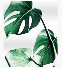 Monstera leaves,Tropical leaves, Green leaves, Leaf, Modern art, Wall art, Print, Minimalistic, Modern, Scandinavian print Poster