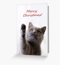 Fröhliche Weihnachten Grußkarte