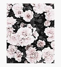 Flowers print, Scandinavian, Roses, Fashion print, Scandinavian art, Modern art, Wall art, Print, Minimalistic, Modern Photographic Print