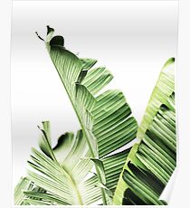 Banana leaves,Tropical leaves, Green leaves, Leaf, Modern art, Wall art, Print, Minimalistic, Modern, Scandinavian print Poster