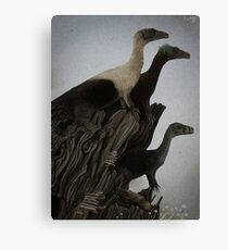 Eoraptor Family Canvas Print