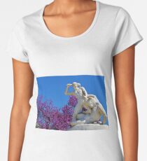 Sculpture Women's Premium T-Shirt