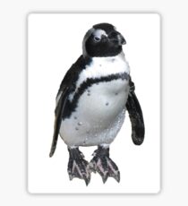 Penguin Sticker