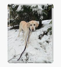Yellow Lab in Snow iPad Case/Skin