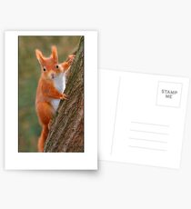 Hi again! Postcards