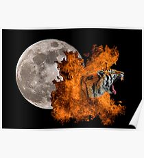 Birth Of The Tiger Poster
