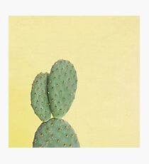 Yellow Cactus Photographic Print