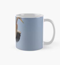 Anhinga Portrait Mug