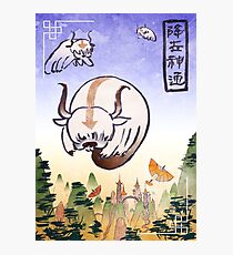 Appa- the last airbender Photographic Print