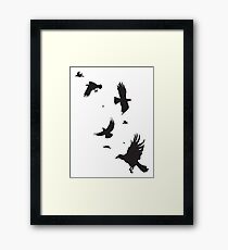 A Murder of Crows Framed Print