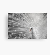White Princess Canvas Print