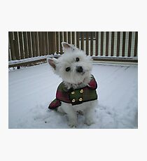 Winter Winnie Photographic Print