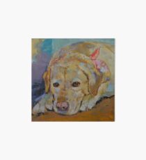 Yellow Labrador Retriever Art Board