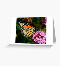 The Monarch Greeting Card