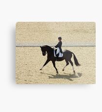 Dressage II Metal Print