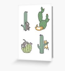 Kakteenkatzen Grußkarte