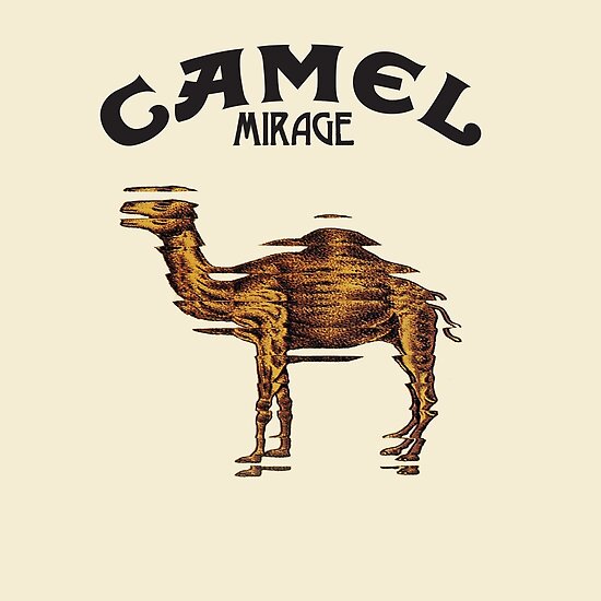 Image result for camel band