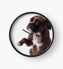 Boxer dog Clock