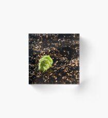 Brewboys - Hops On Rye Acrylic Block
