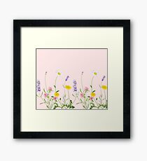 Blush pink - wildflower dreams Framed Print