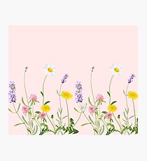 Blush pink - wildflower dreams Photographic Print