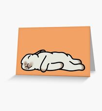 Sleeping Bunny Greeting Card