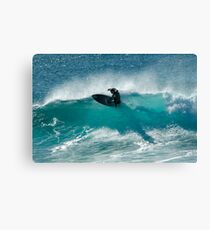 Flying Fish I Canvas Print