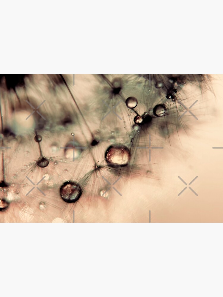 Droplets of gold by Ingz