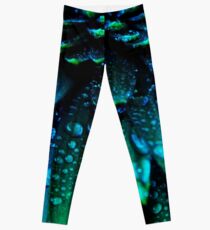 Midnight Blue Leggings