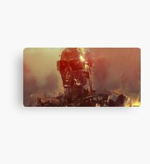 Cool Killer Canvas Print