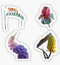 Flume Sticker Sheet Set Sticker