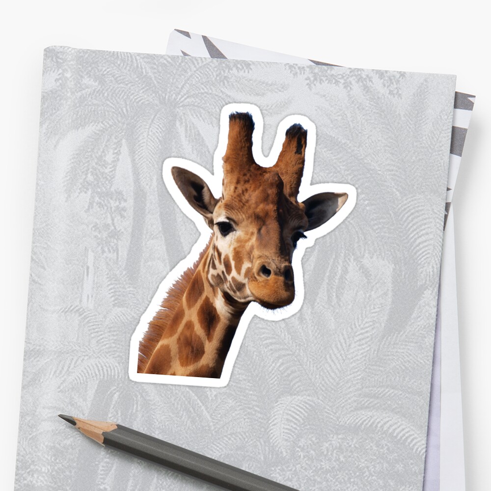 Giraffe Stickers By Virginia Mcgowan Redbubble 2310