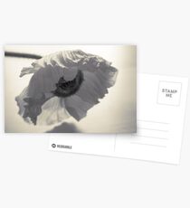 Crumpled Postcards