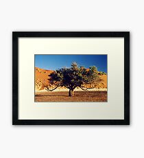 Desert Tree Framed Print