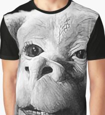 Falkor The Luck Dragon From The Neverending Story Design Graphic T-Shirt