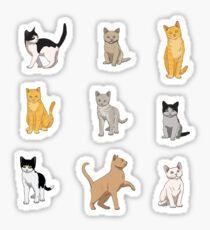 Pegatina Paquete de gato Baesic