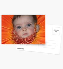 FLOWERBEARD Postcards