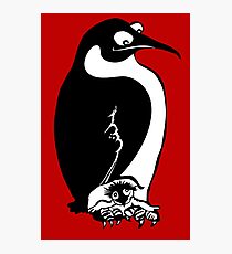 Penguin Photographic Print