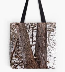 Winter Walk #2 Tote Bag