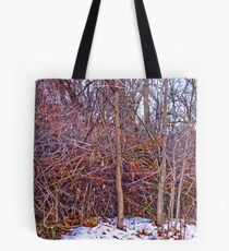 Winter Walk #4 Tote Bag
