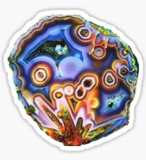 Pegatina Coyamito Agate - Precioso cazador de Little Rock