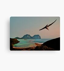 Glide to the horizon Canvas Print
