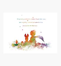 Little Prince Photographic Print