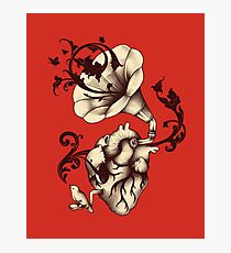 Listen to your heart Photographic Print