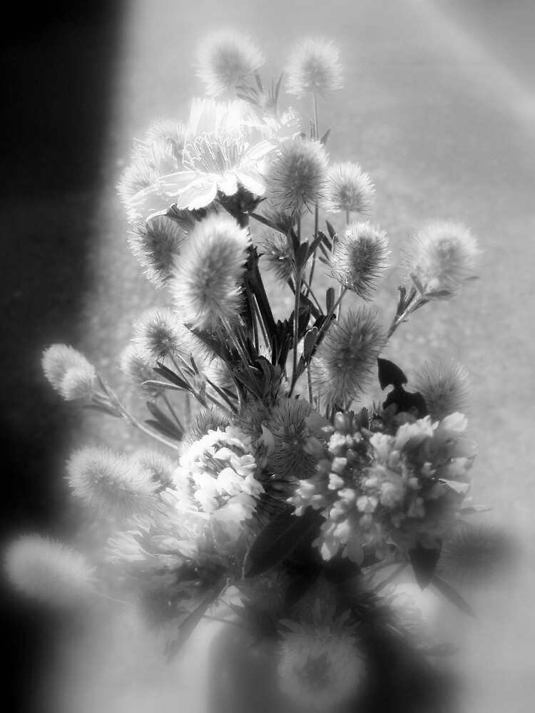 "wildflower bouquet, black and white" by Dawna Morton Redbubble
