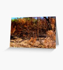 Bushland Greeting Card